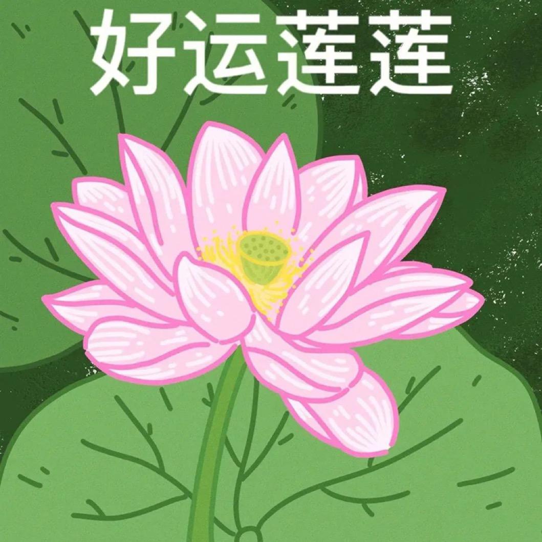 好运莲莲2