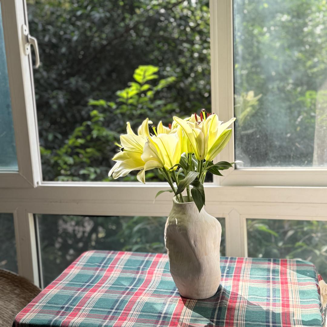 🍑桃乐丝是个主持人