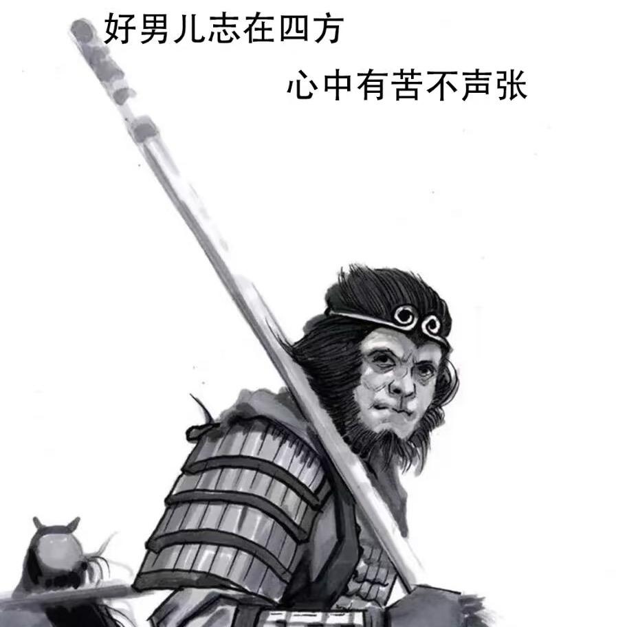 神秘歌者