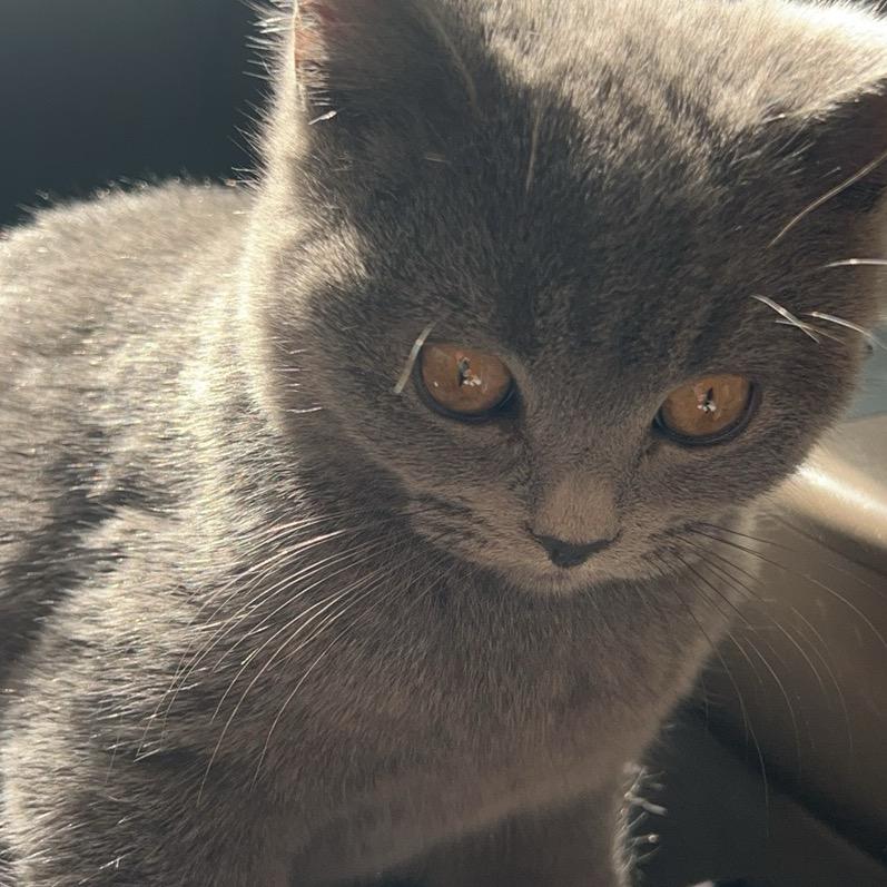 悲伤排骨玉米汤