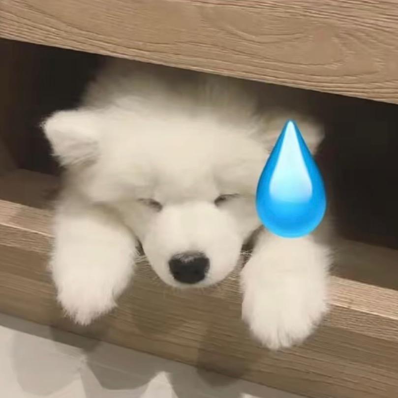 🌈悲伤玉米排骨汤