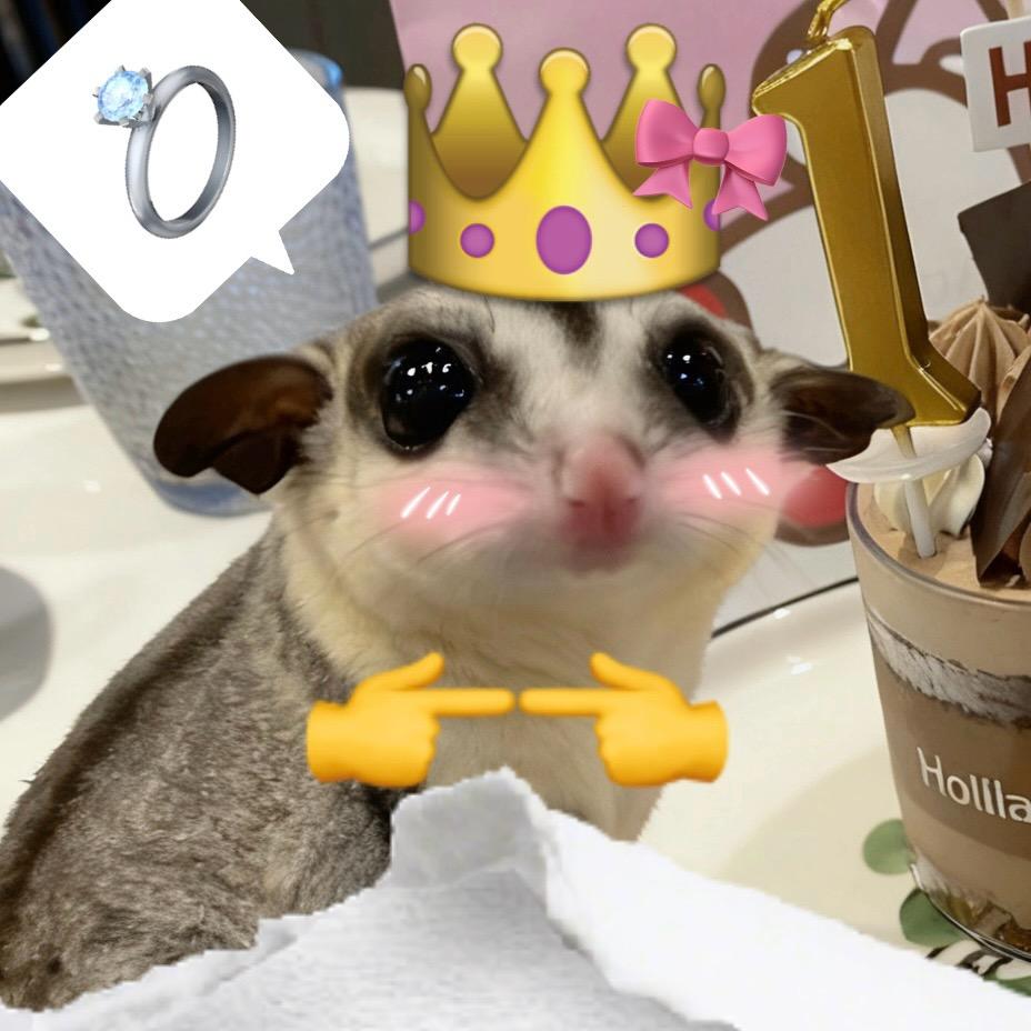 沐沐想成为种草机