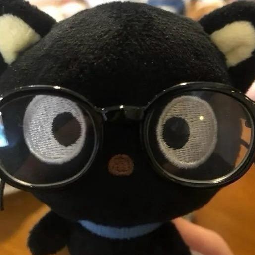 黑色眼镜猫