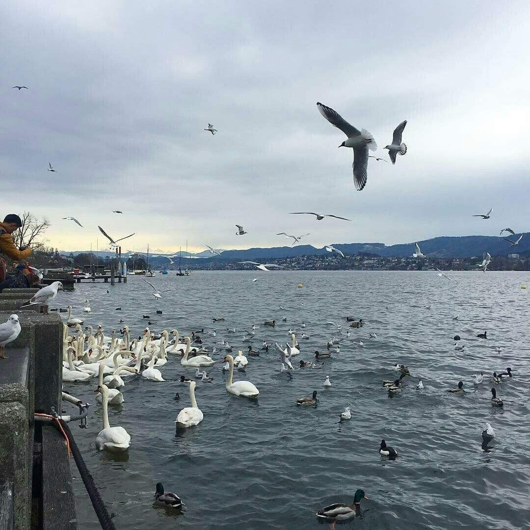 小范💫『小坤汽车租赁』