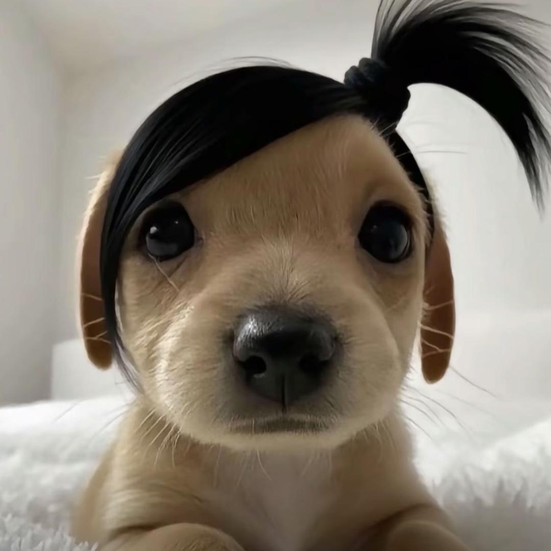 俺是熊二ᵔ·͈༝·͈ᵔ