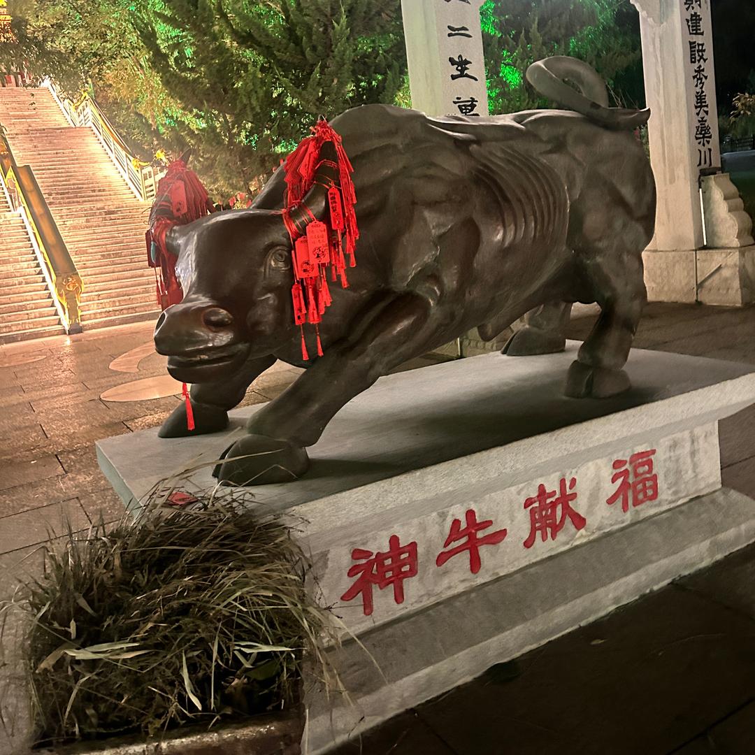 觅岛