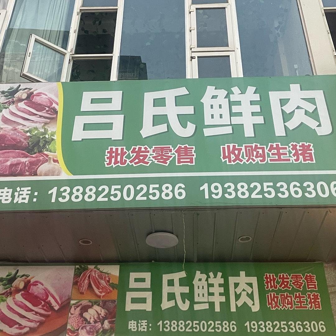 😷打败🐷