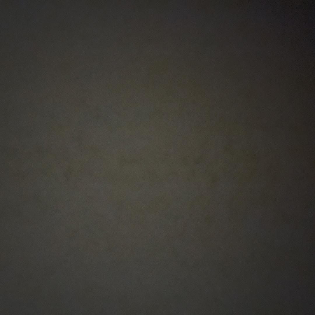 半世缘