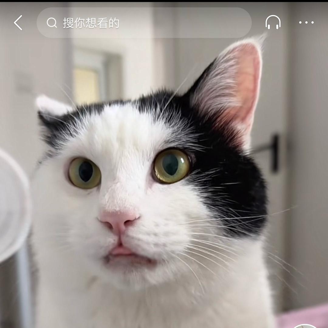 可可爱咯