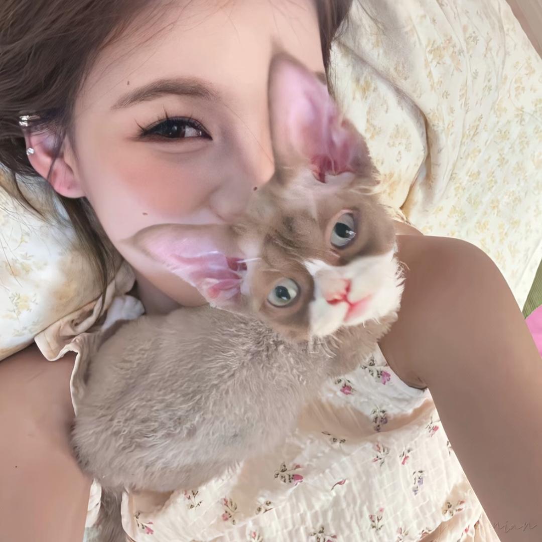 养只爱我的猫
