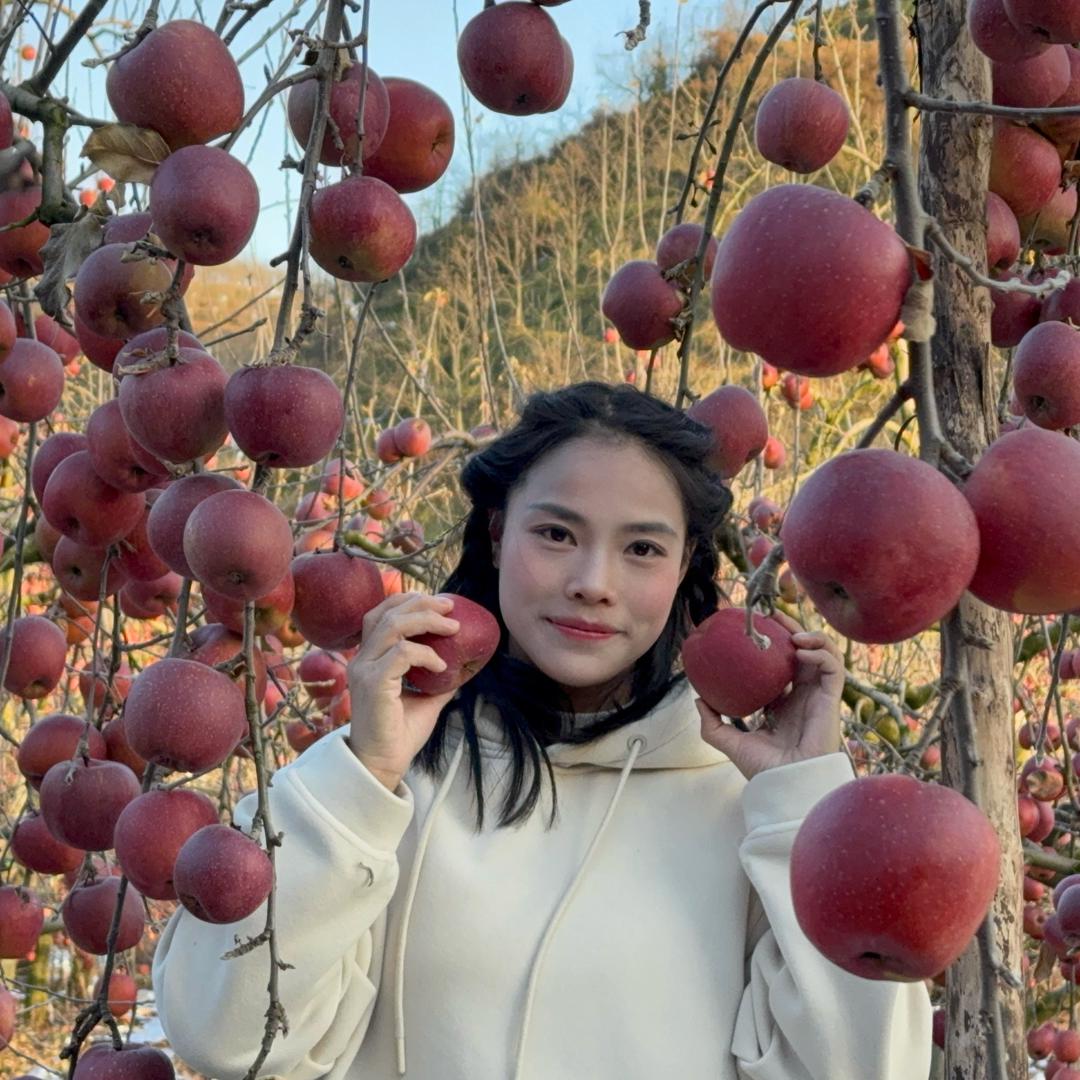 肖肖的苹果园