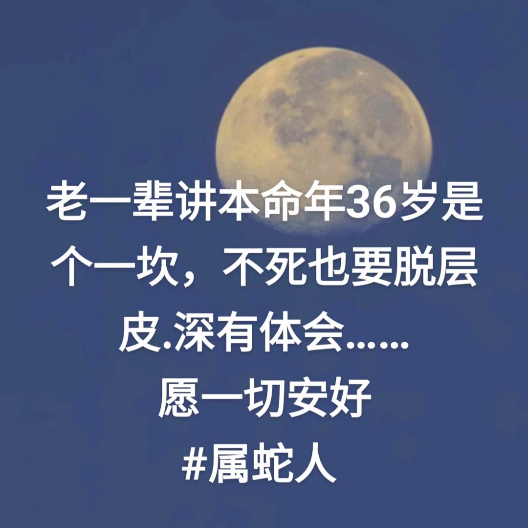 語過添情