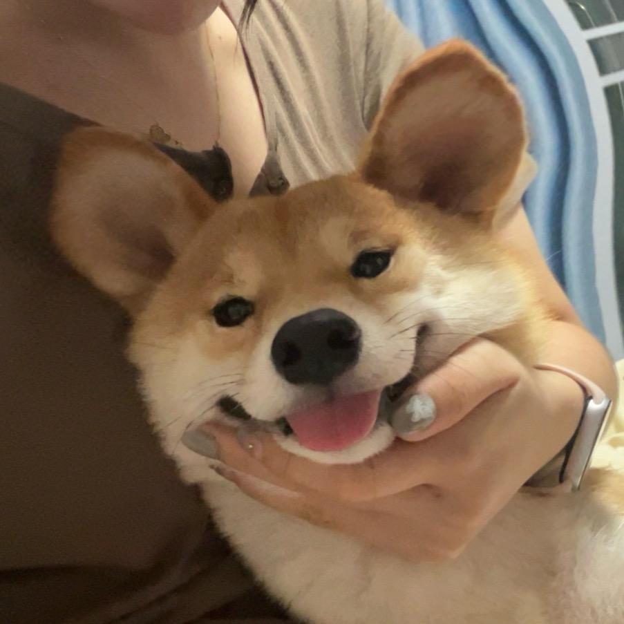 土豆泥.