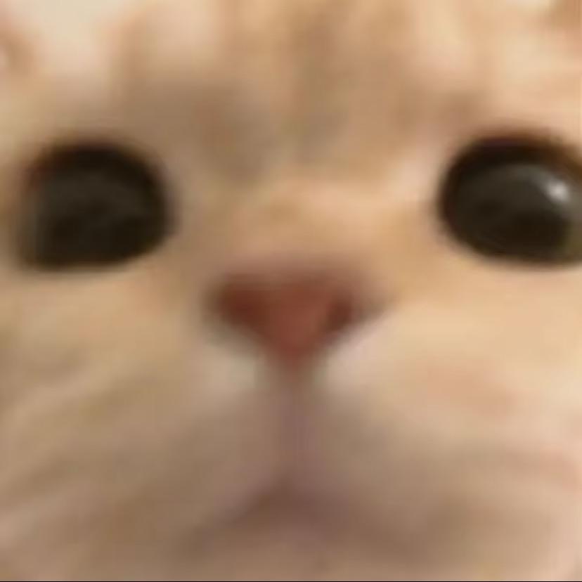 我决定今天吃芝士火鸡面