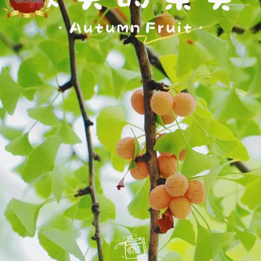 心静如水🎶