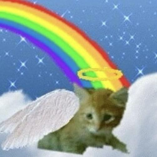 煤炭炒抹茶布丁（减脂版。）