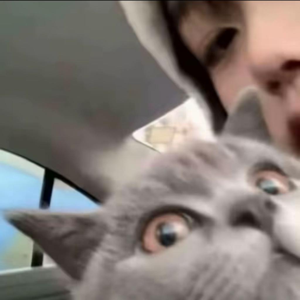 ijustwannahaveabtday