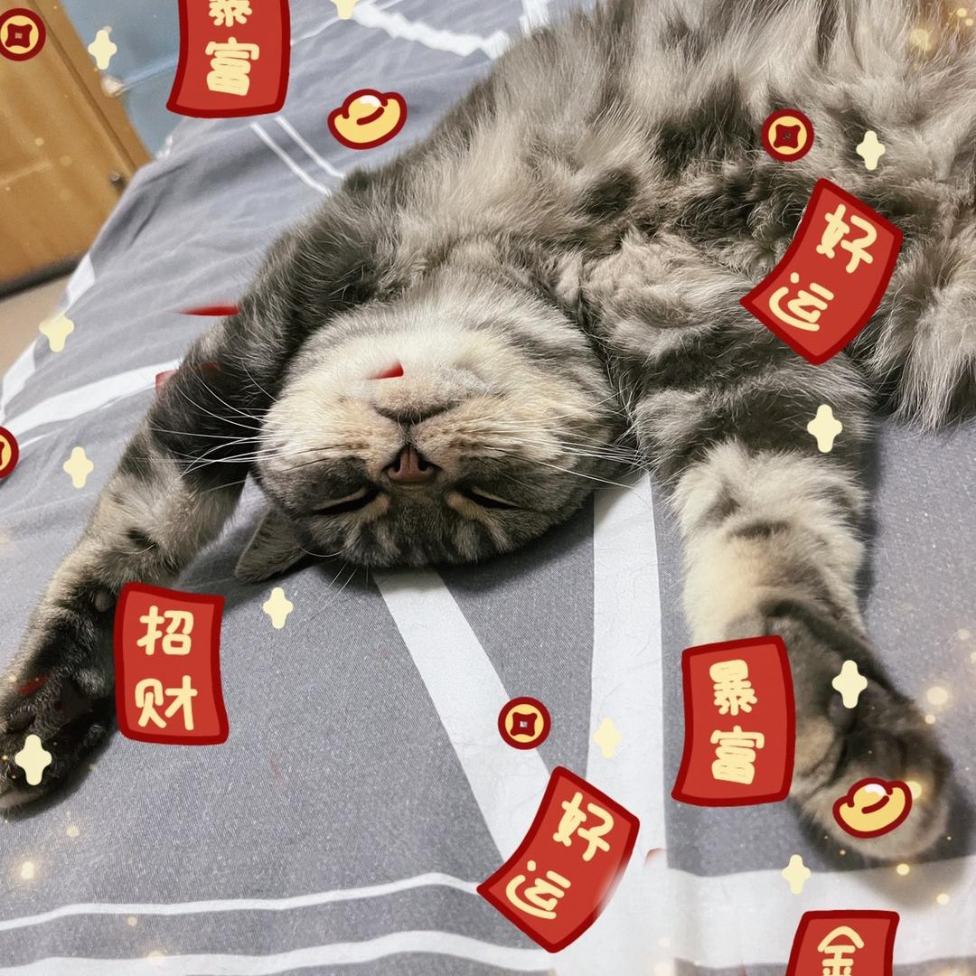 于夏日暮色中