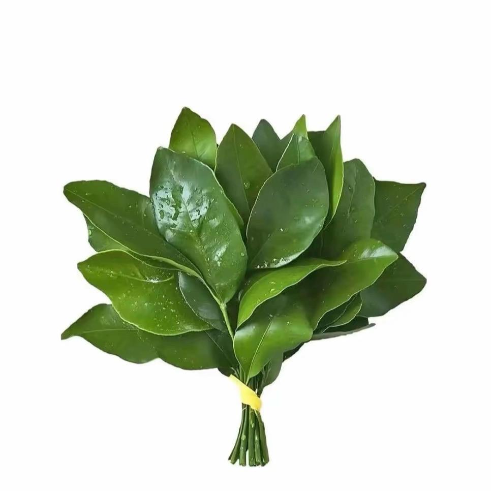 单循环.