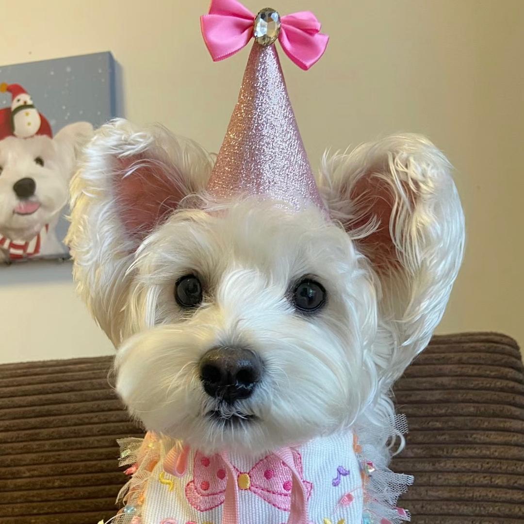 佳雨农场小语🍅