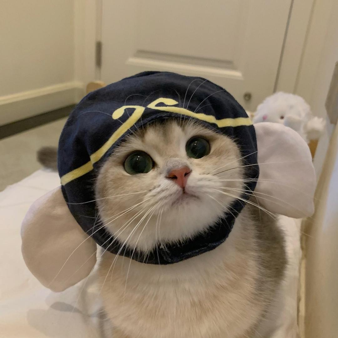 唐僧不老尤-