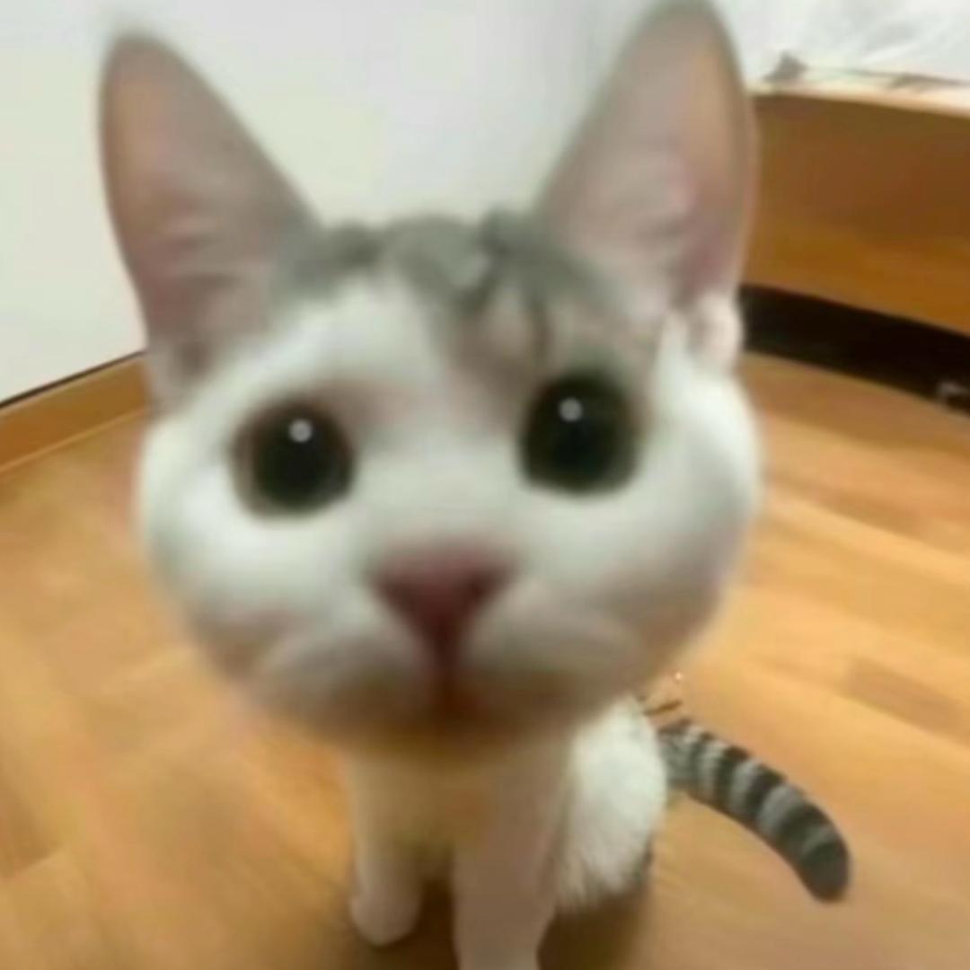 小年糕ovo