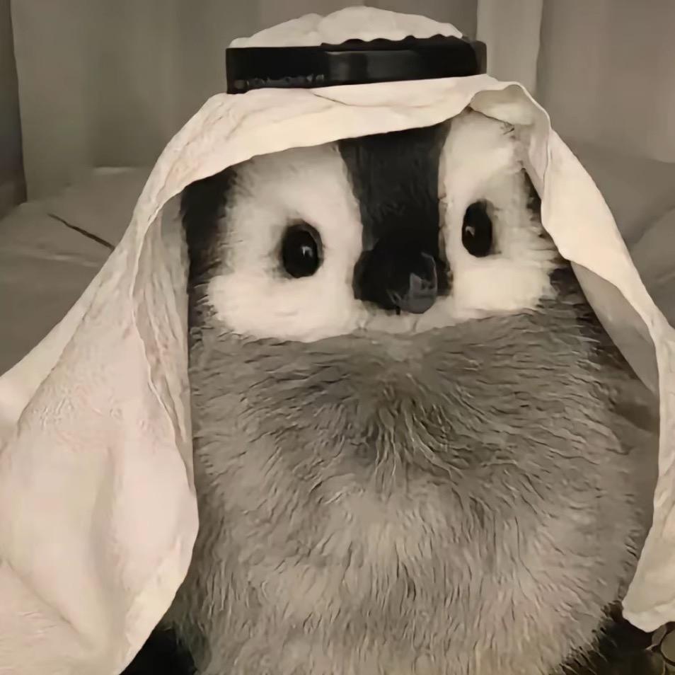 由八