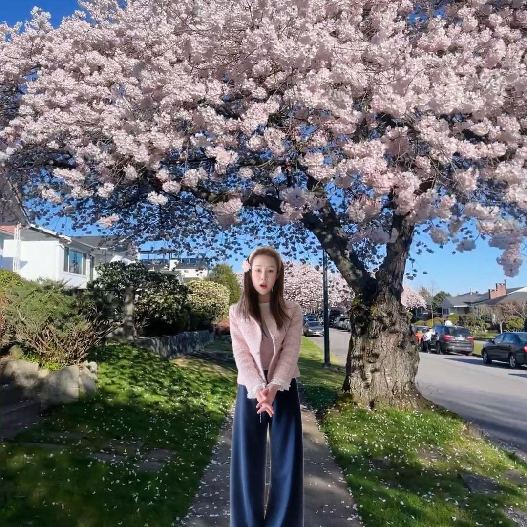 花卷漂泊生活