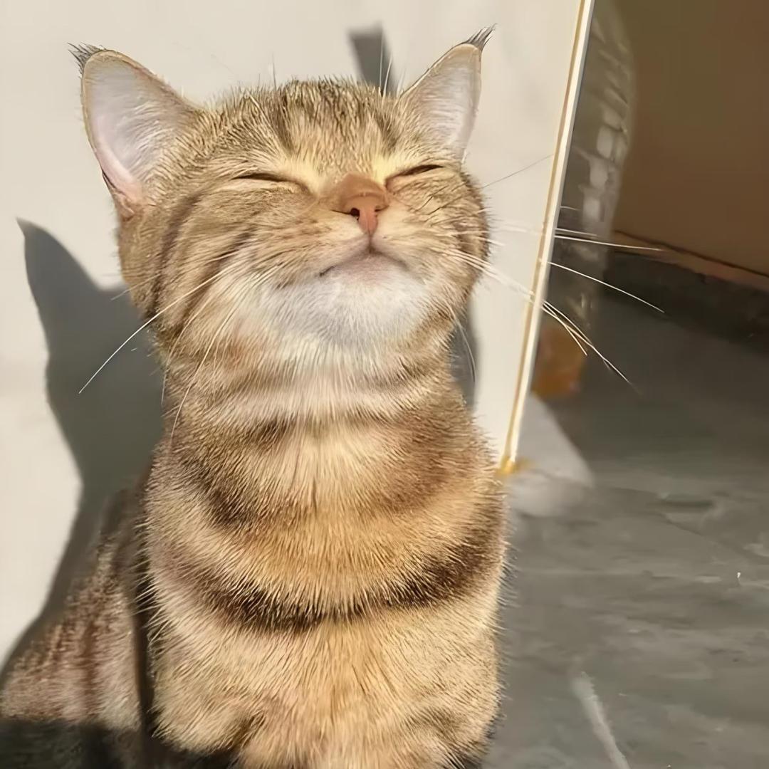 SunLightwei
