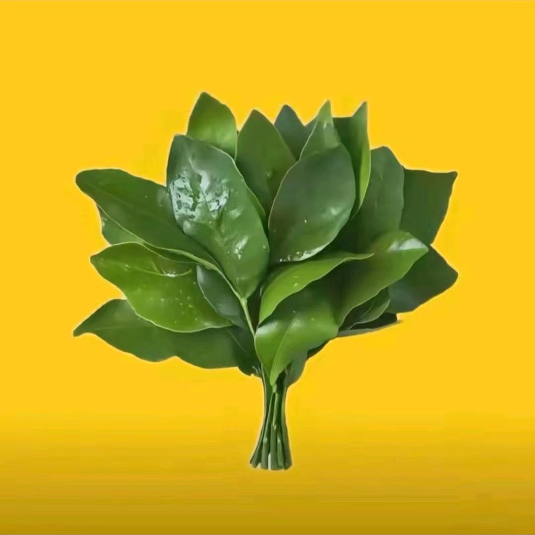 一万八TuT