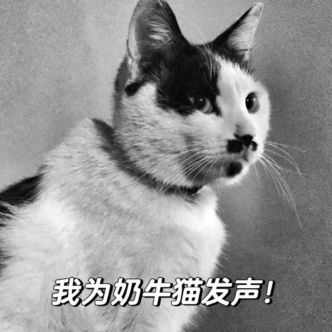 𝑳-𝒔𝒖𝒓𝒆