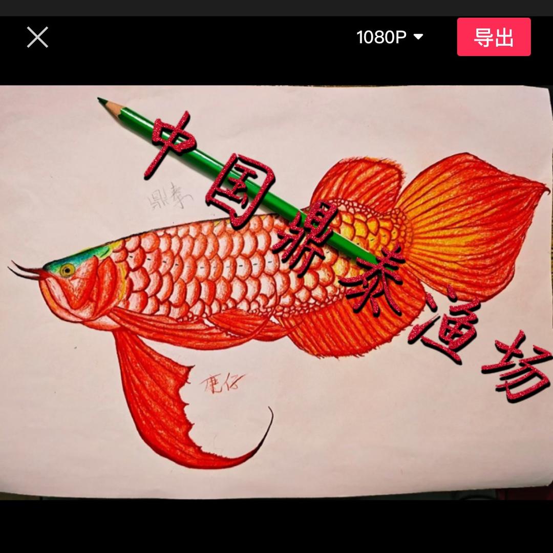 鱼将帅