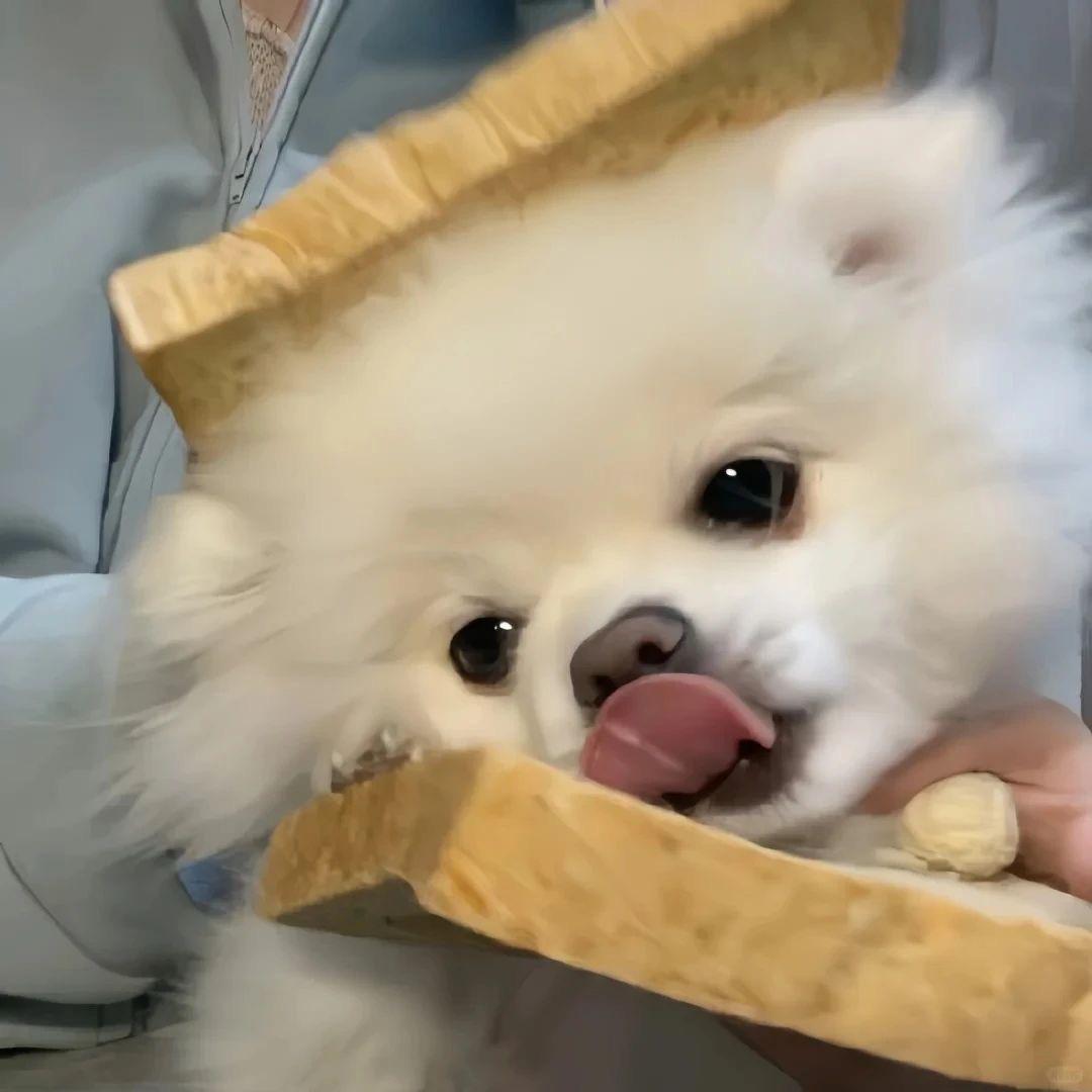 壹