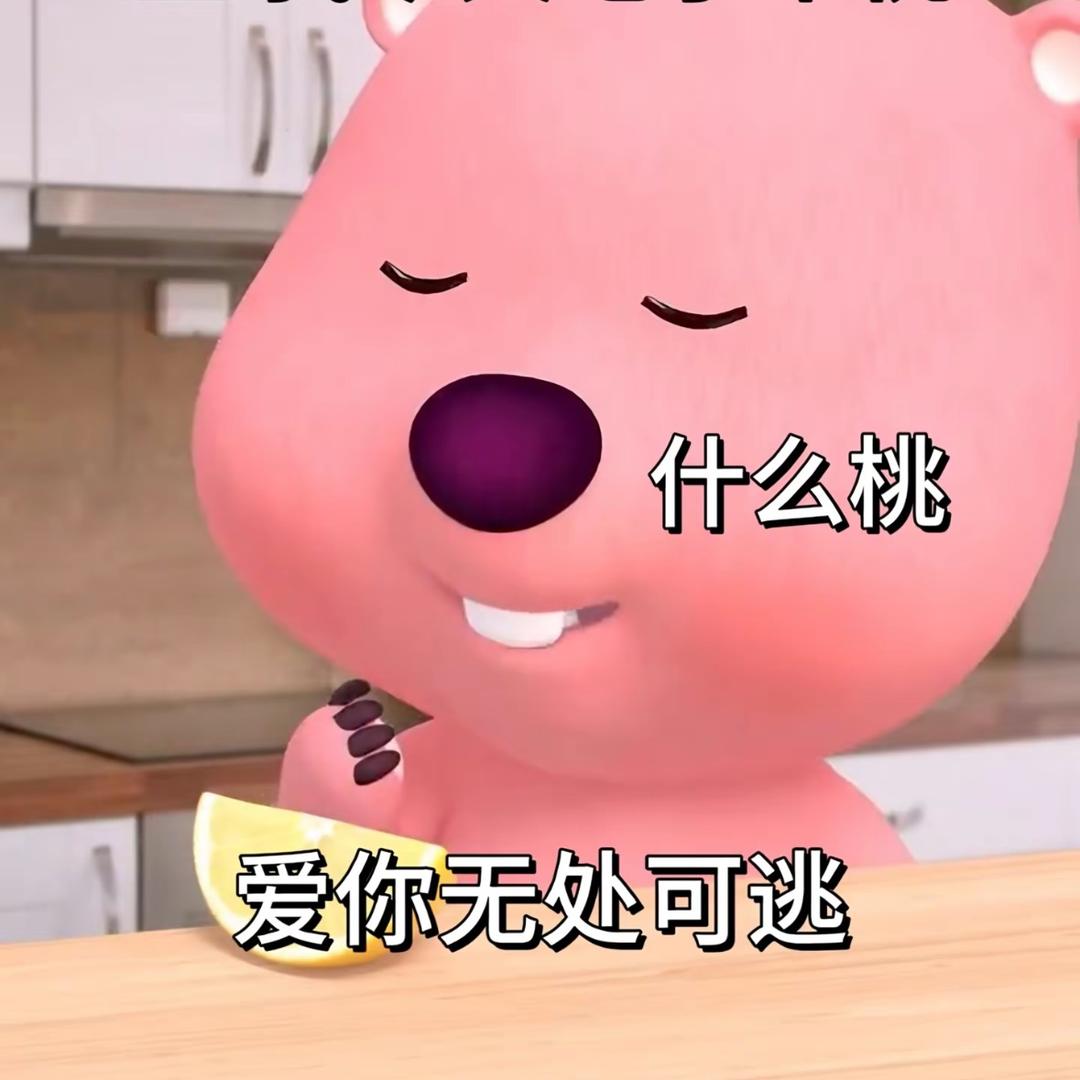 小小群拍内娱