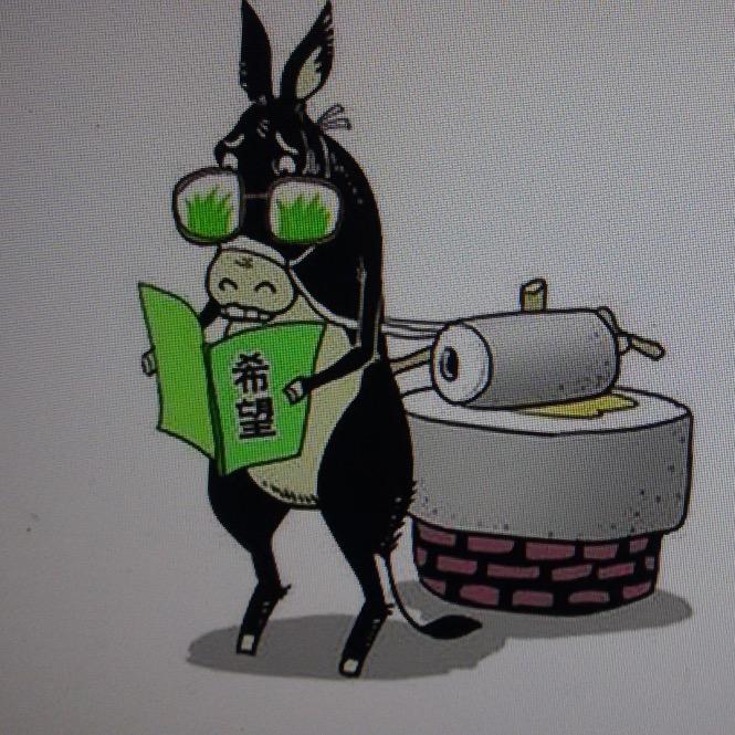 龟龟姐