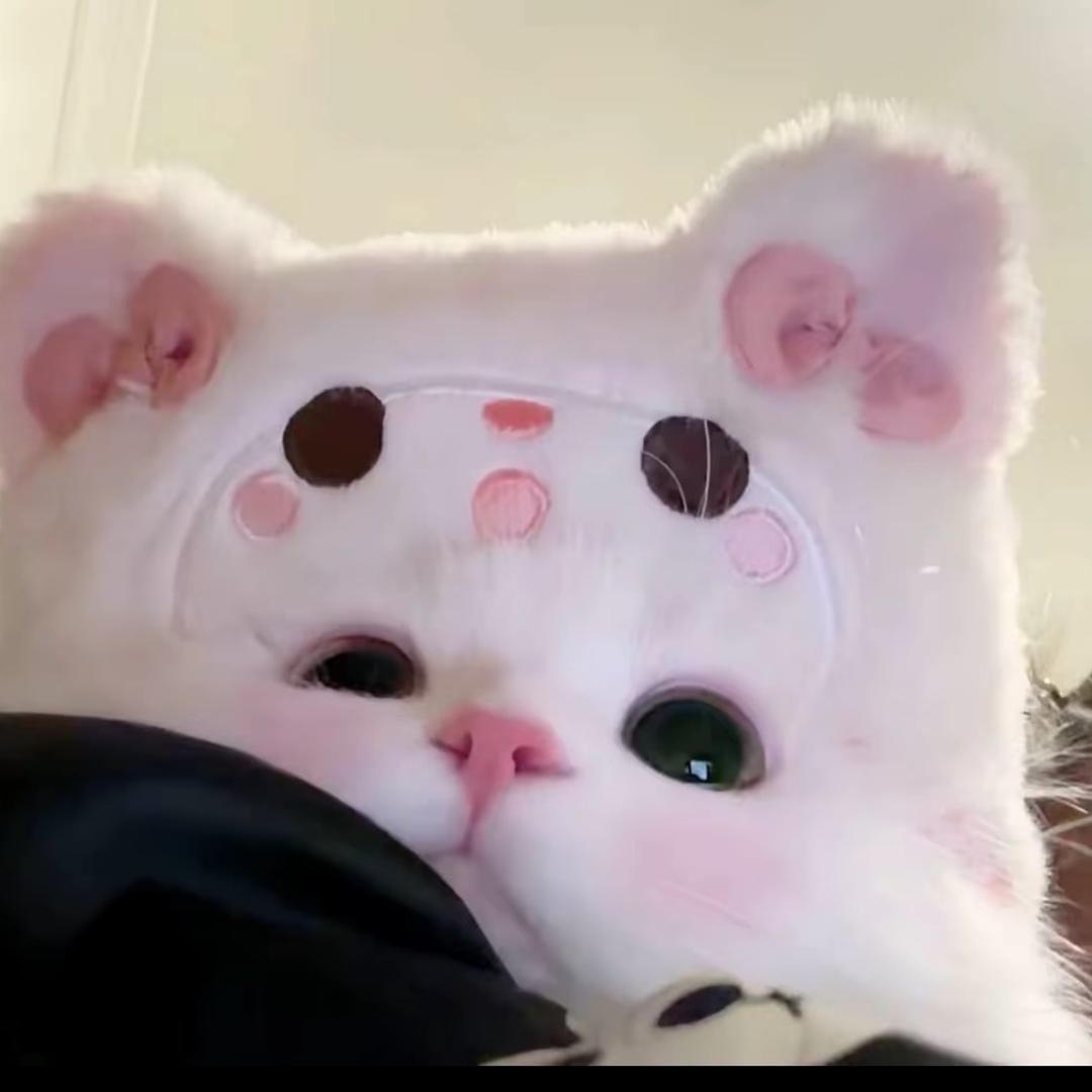 @妮妮