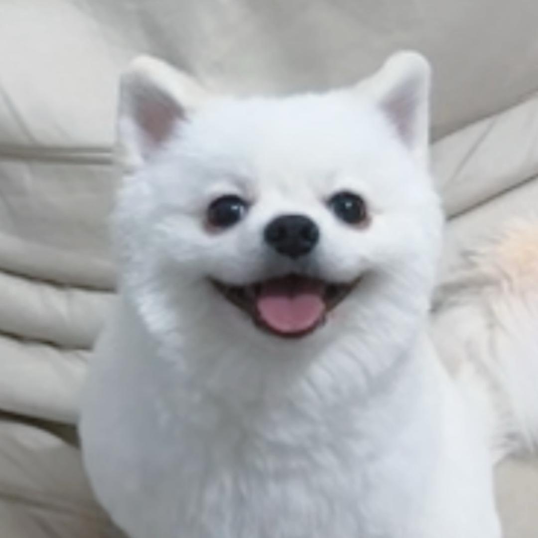 小可爱。