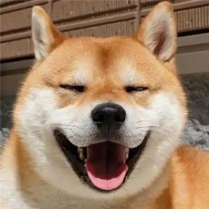 松下手刹