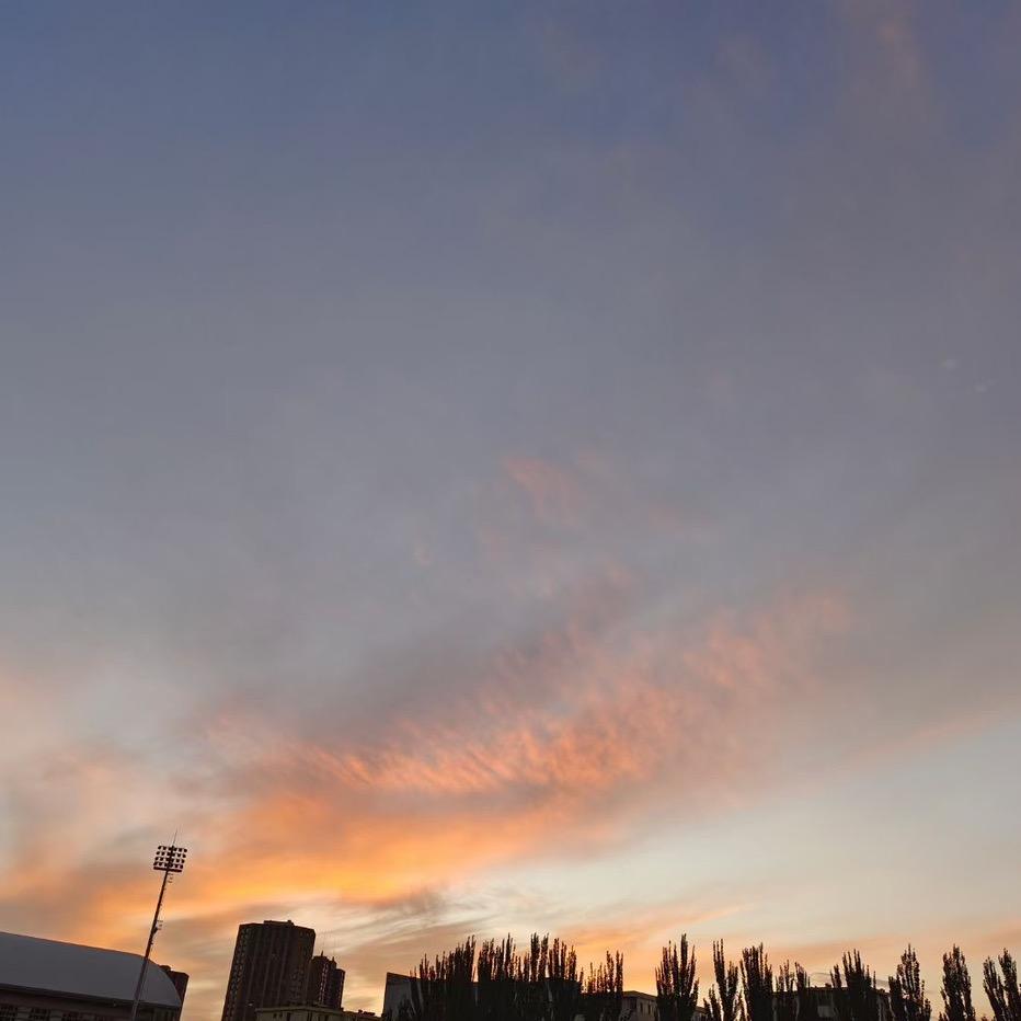 跑不动的卢老师