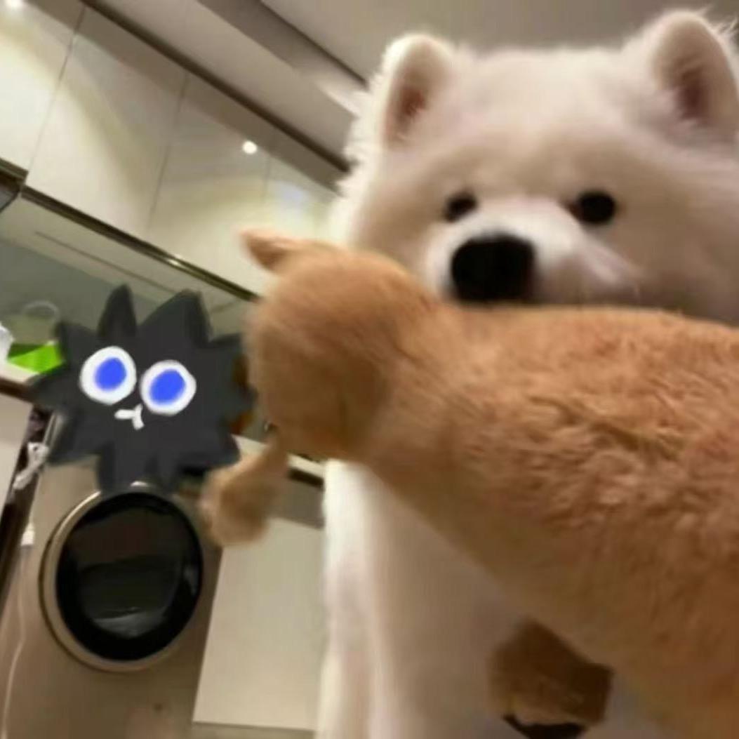 笨蛋总是掉眼泪