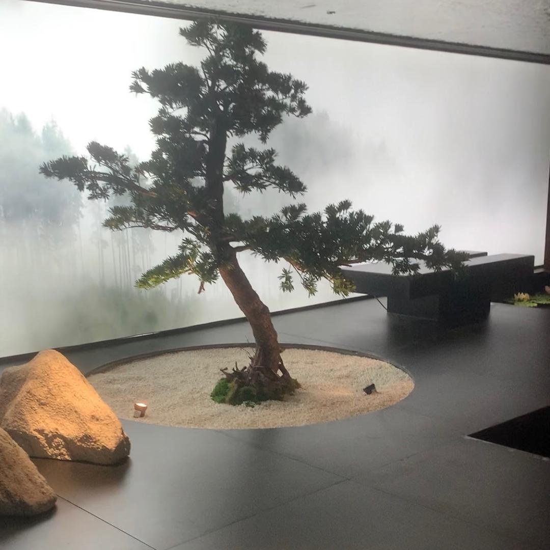 我是你0.1公里的人