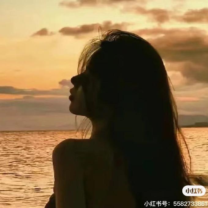 爱看剧的猫