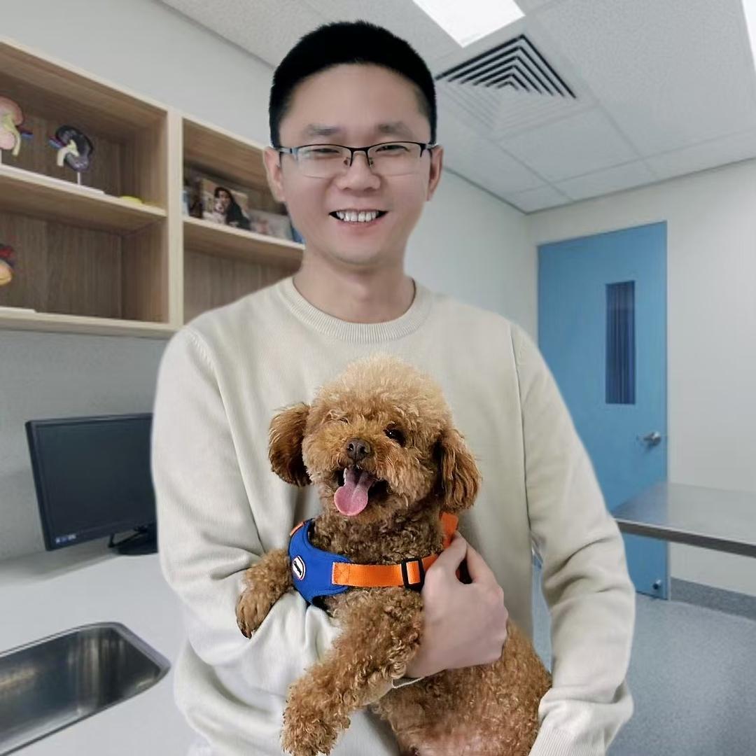 大涛爱养狗