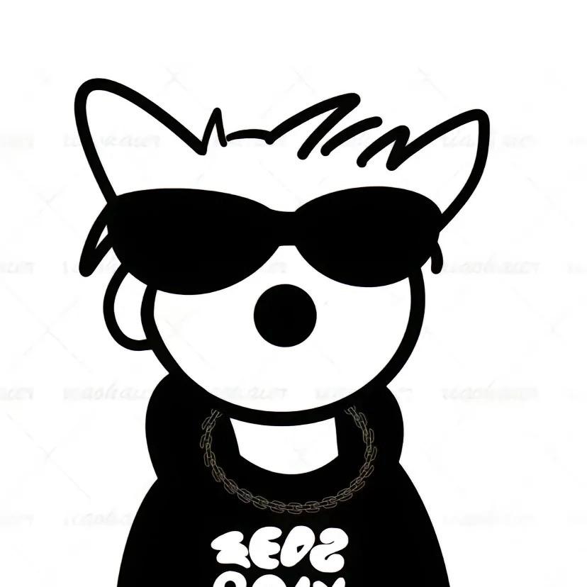 🎱Shender台球器材