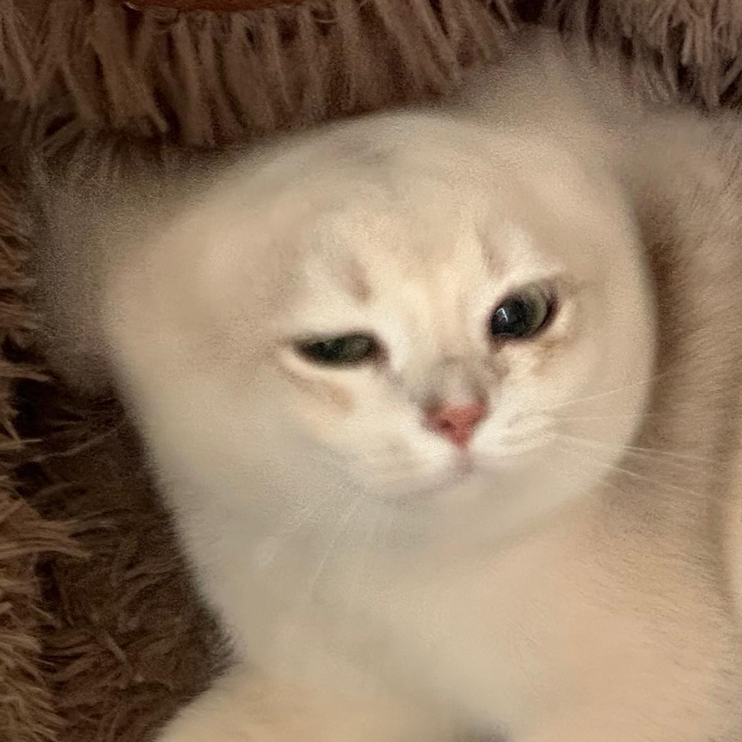 宇宙超级无敌狂拽酷炫暴龙战士