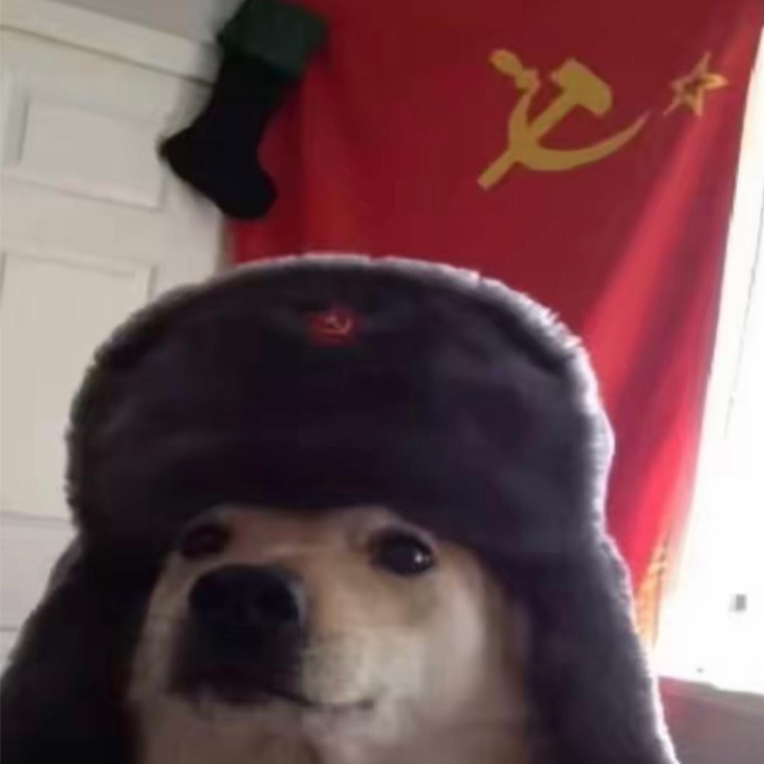 朴卡卡