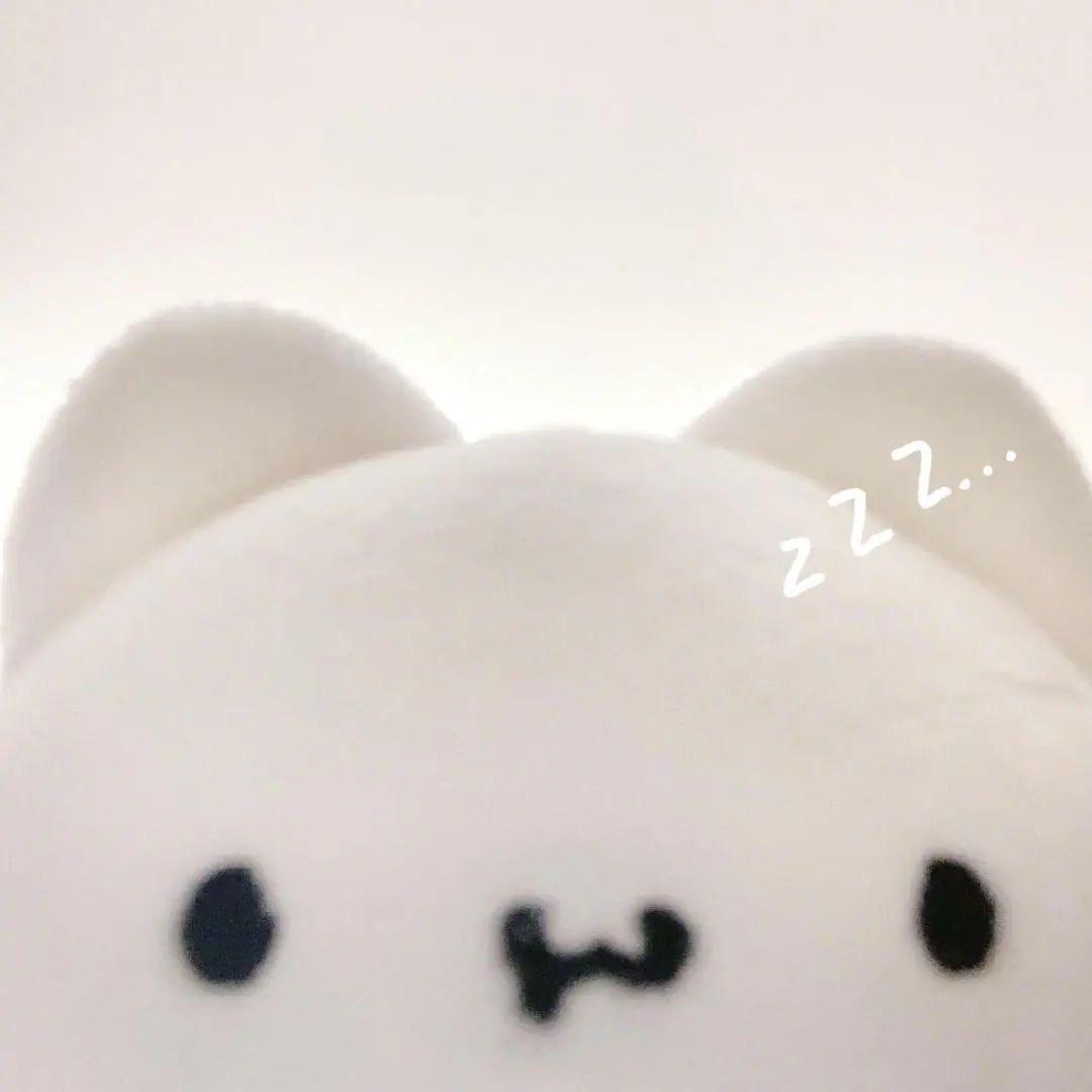 小豆ʘɞʘ