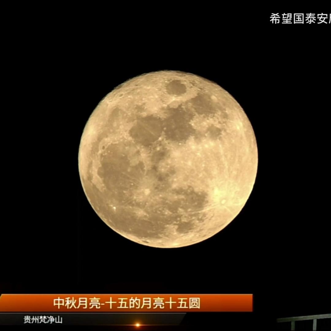 谁啊，踩我拖鞋