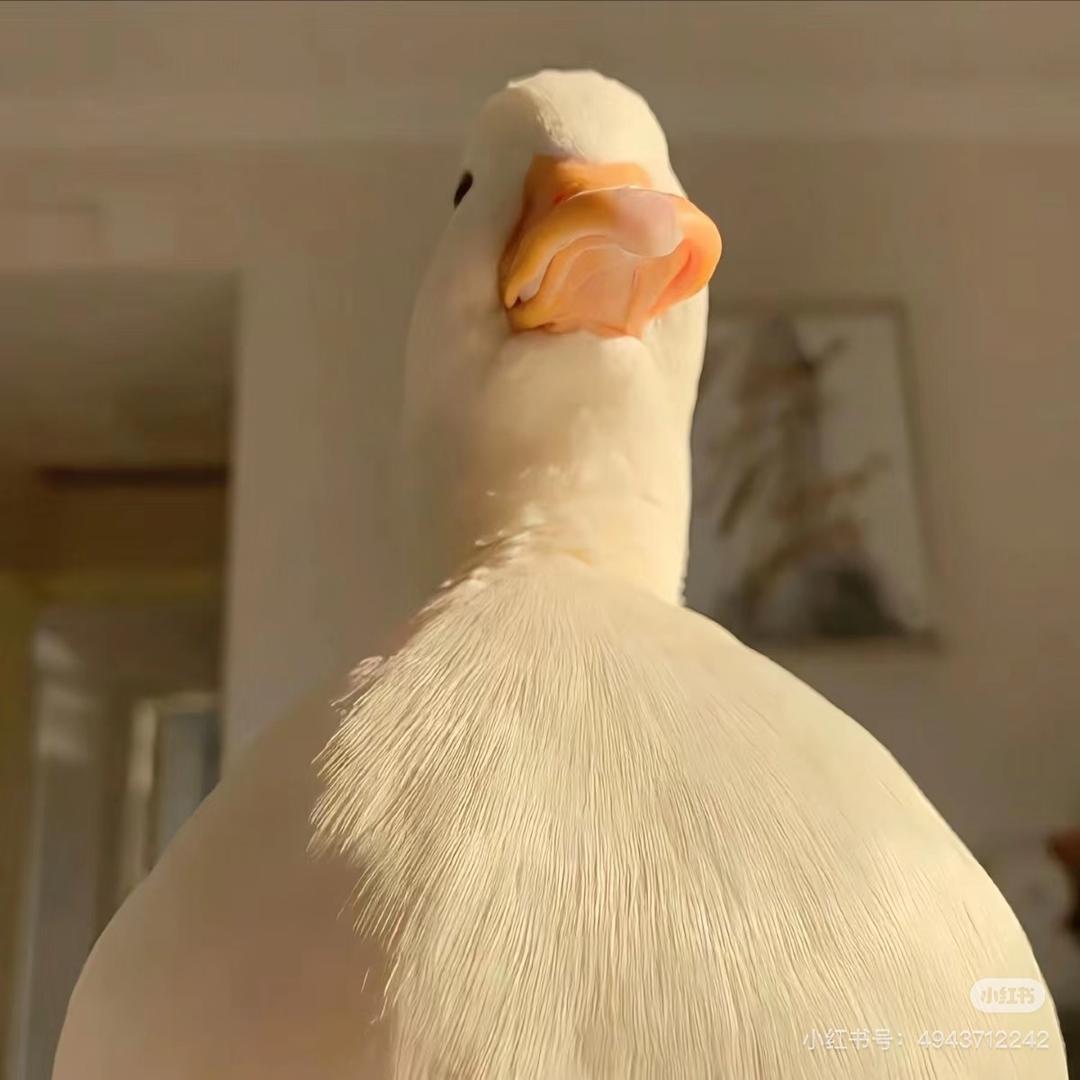 零  柒