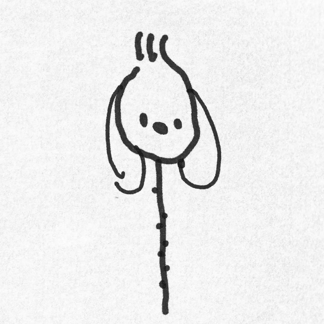 梨花诗